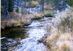 Deer Creek by Monte Miller