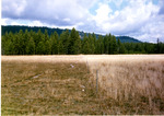 Bearskin Meadows by Monte Miller