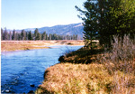 Bear Valley Creek. by Monte Miller