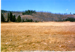 Ayers Meadow near the sheep camp. by Monte Miller