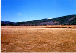 Ayers Meadow near the sheep camp. by Monte Miller