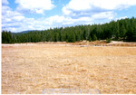 Big Meadow - just West of the Fisheries - Livestock exclosure. by Monte Miller