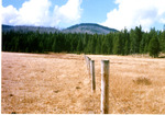 Big Meadows - transfer - Big Meadows division fence. Just West of the fisheries - livestock exclosure. The Right side of the fence the Bear Valley riparain pasture was grazed early in the season. The Left side of the fence, the Big Meadows - Cache Creel unit was after grazing. by Monte Miller