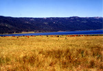 Cascade reservoir by Monte Miller