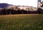 Tennessee Creek Meadow. by Monte Miller