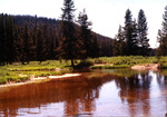 Elk Creek by Monte Miller