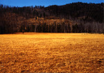 Tennessee Creek Meadow by Monte Miller