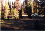 Between Jensens Cabin Meadow and Little Beaver Creek by Monte Miller