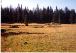 Bearskin Meadows by Monte Miller