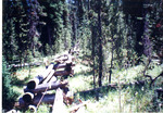 Division fence off of the stanley - Landmark road between deer Creek summit and Wet Meadows by Monte Miller