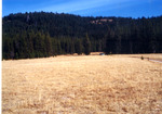 Jensens Cabin Meadow by Monte Miller