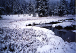 Bearskin Creek by Monte Miller