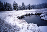 Bearskin Creek by Monte Miller
