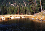 Johnson Creek by Monte Miller