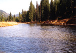 Johnson Creek by Monte Miller