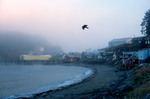A bird takes flight over the waterfront of Angoon, Alaska, November 1, 2003 by Kevin Moloney