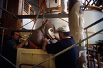 University of Northern Colorado facilities workers carefully lower a Tlingit Bear Clan Totem from its mount in the University Center, October 20, 2003 by Kevin Moloney